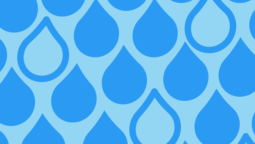 Beber agua destilada