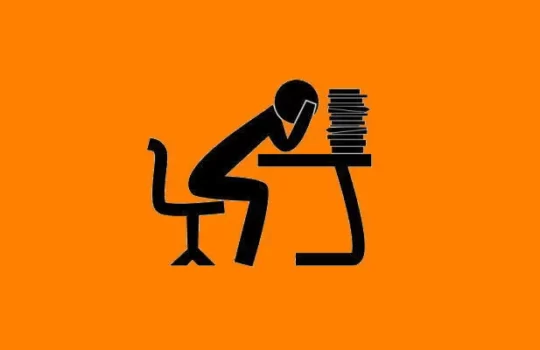 Funcionario público