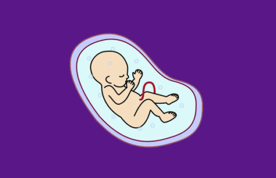 Tratamientos de reproducción asistida