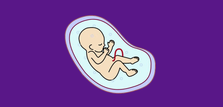 Tratamientos de reproducción asistida