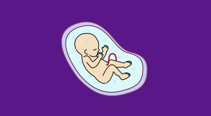 Tratamientos de reproducción asistida