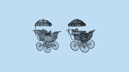 Carrito o silla de paseo