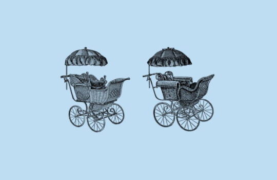 Carrito o silla de paseo