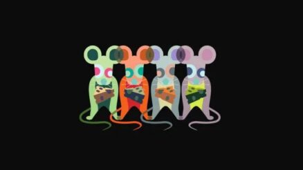 alimentación para nuestros roedores