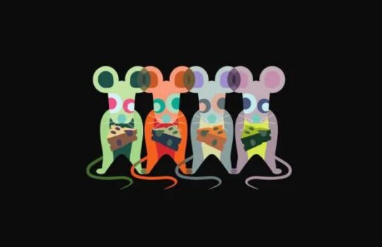 alimentación para nuestros roedores