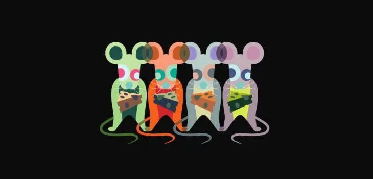 alimentación para nuestros roedores