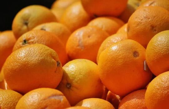 La naranja valenciana